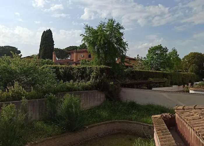 Oasi *