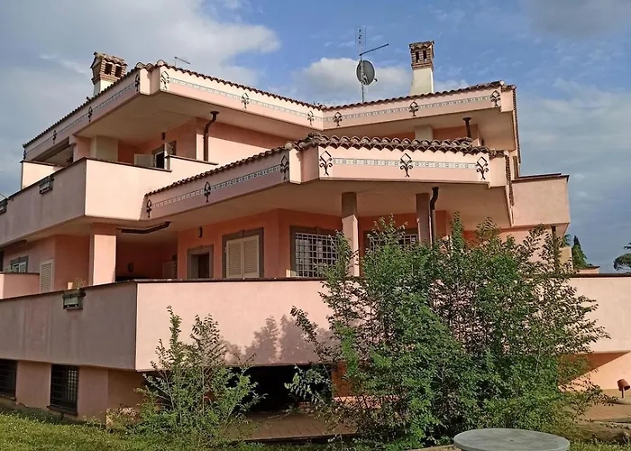 Oasi
