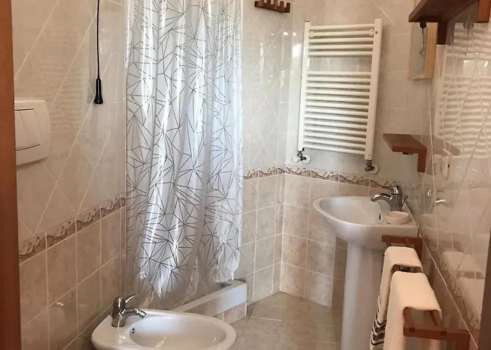 Oasi *