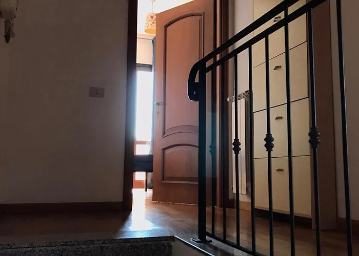 Oasi *