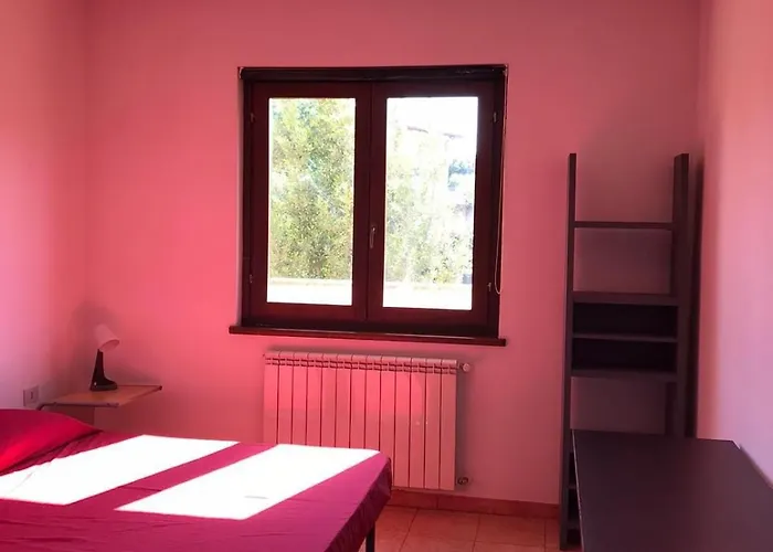 Oasi *