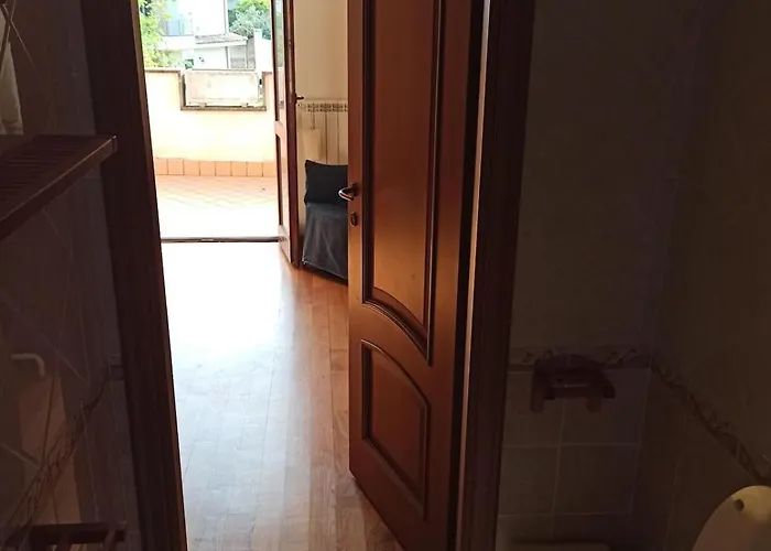 Oasi *