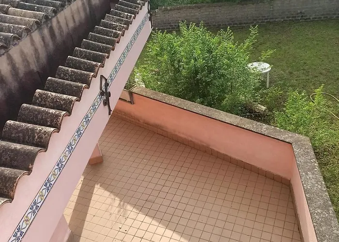 Oasi